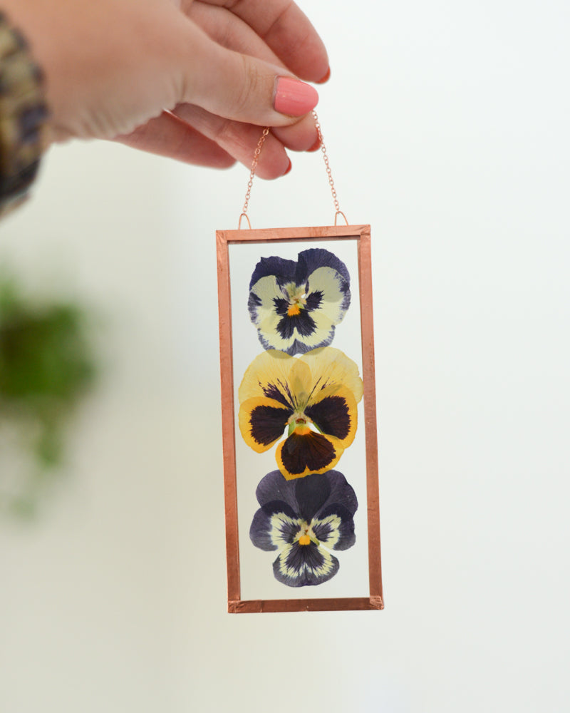 Pansies - Small Glass and Copper Wall Hanging