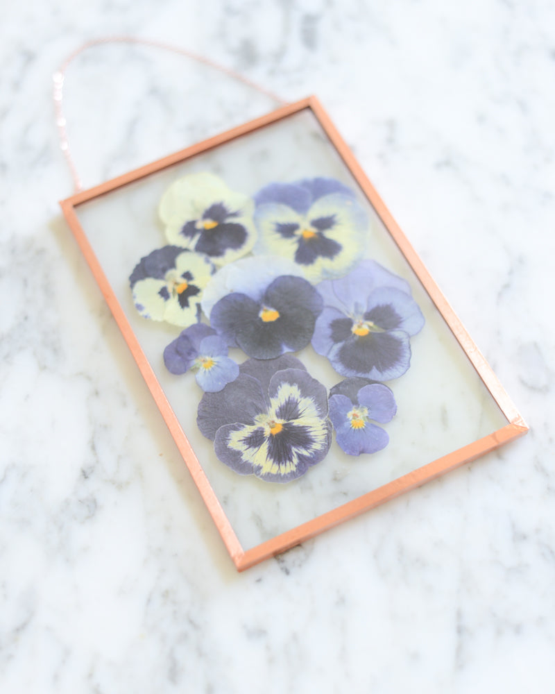 Blue Pansies - Glass and Copper Wall Hanging