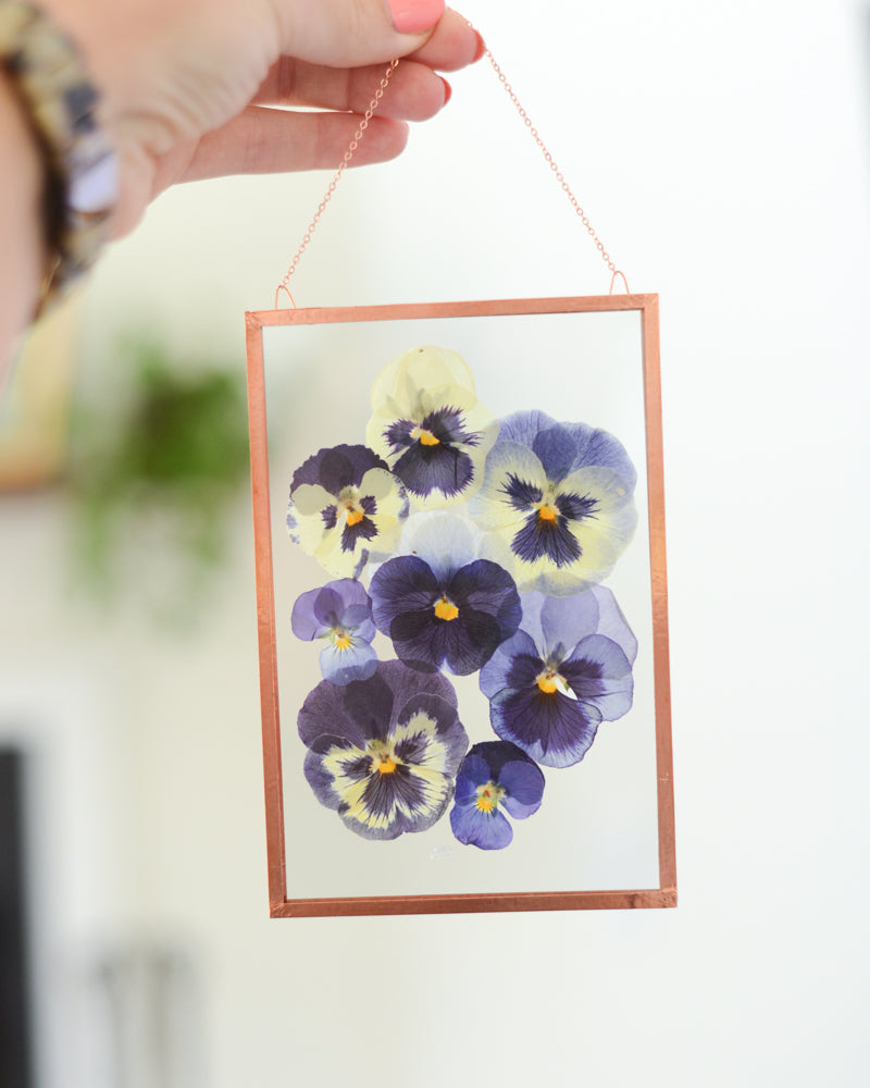 Blue Pansies - Glass and Copper Wall Hanging