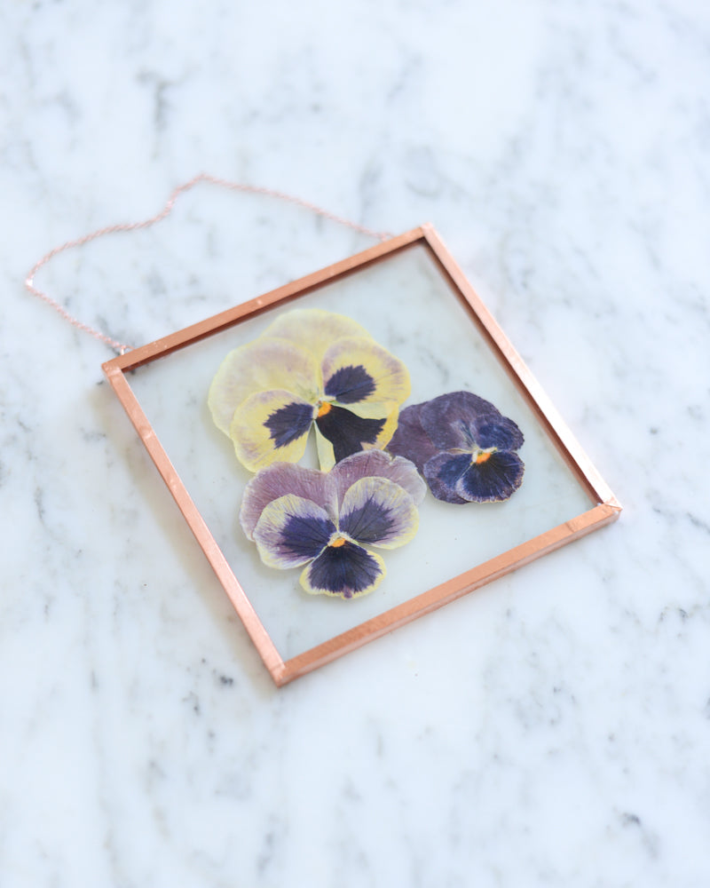 Purple Pansies - Small Glass and Copper Wall Hanging