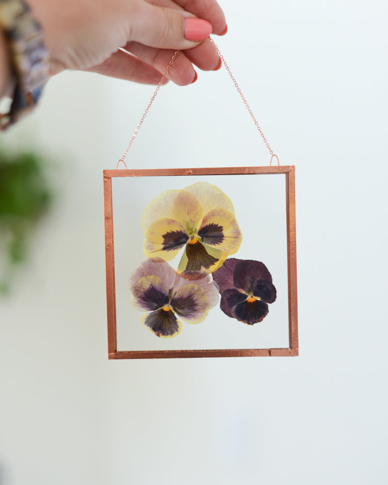 Purple Pansies - Small Glass and Copper Wall Hanging