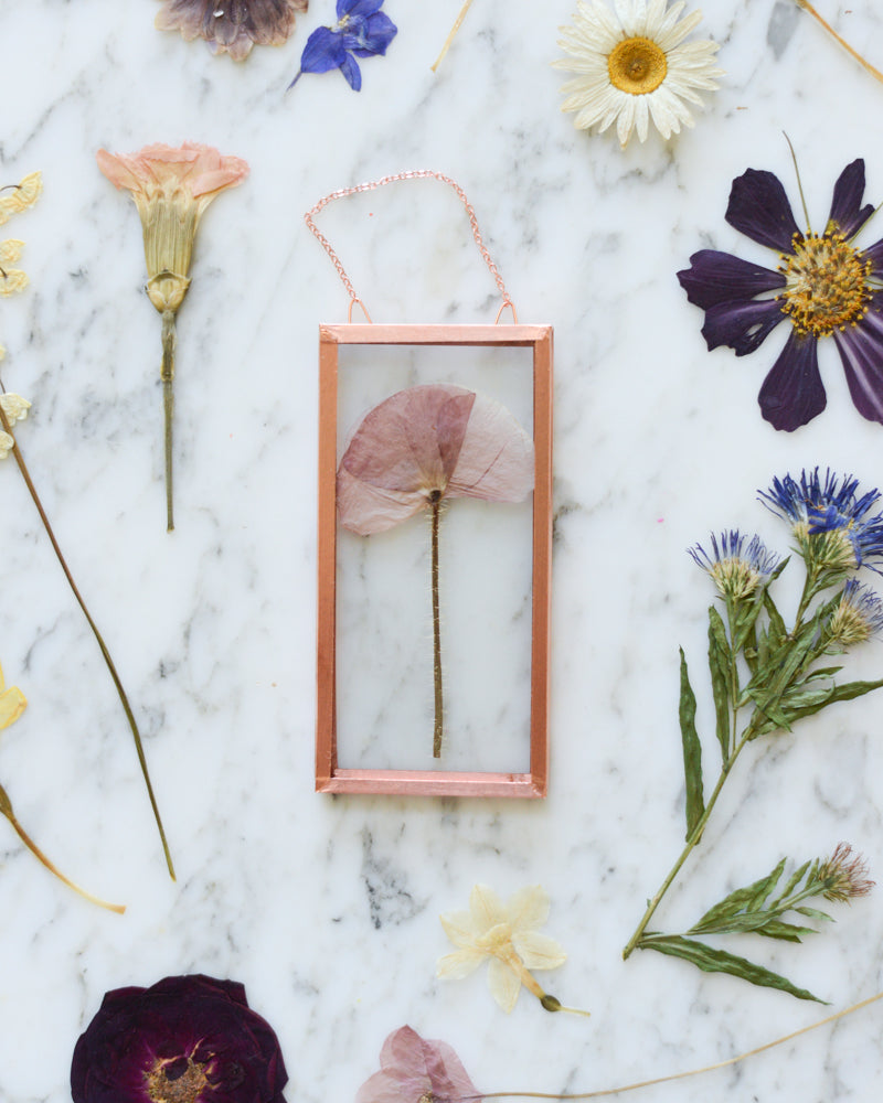Birth Flowers - Real Pressed Flowers in Small Glass and Copper Wall Hanging