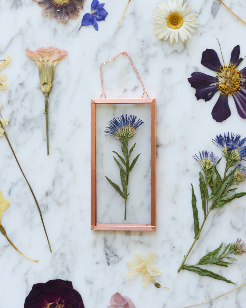 Birth Flowers - Real Pressed Flowers in Small Glass and Copper Wall Hanging