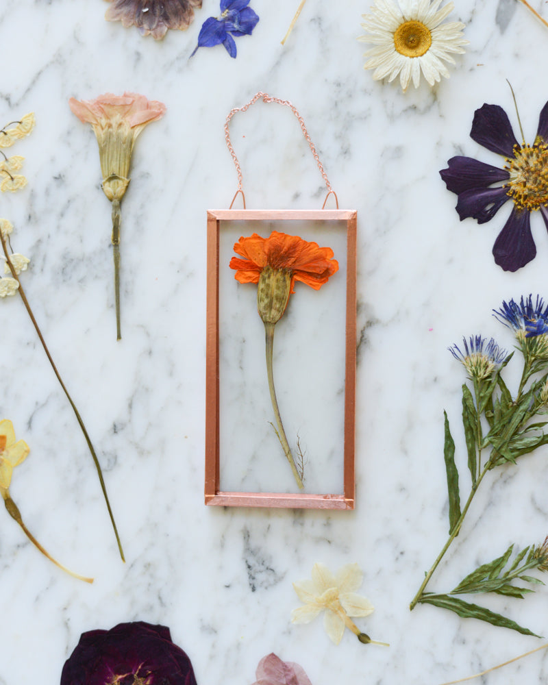 Birth Flowers - Real Pressed Flowers in Small Glass and Copper Wall Hanging
