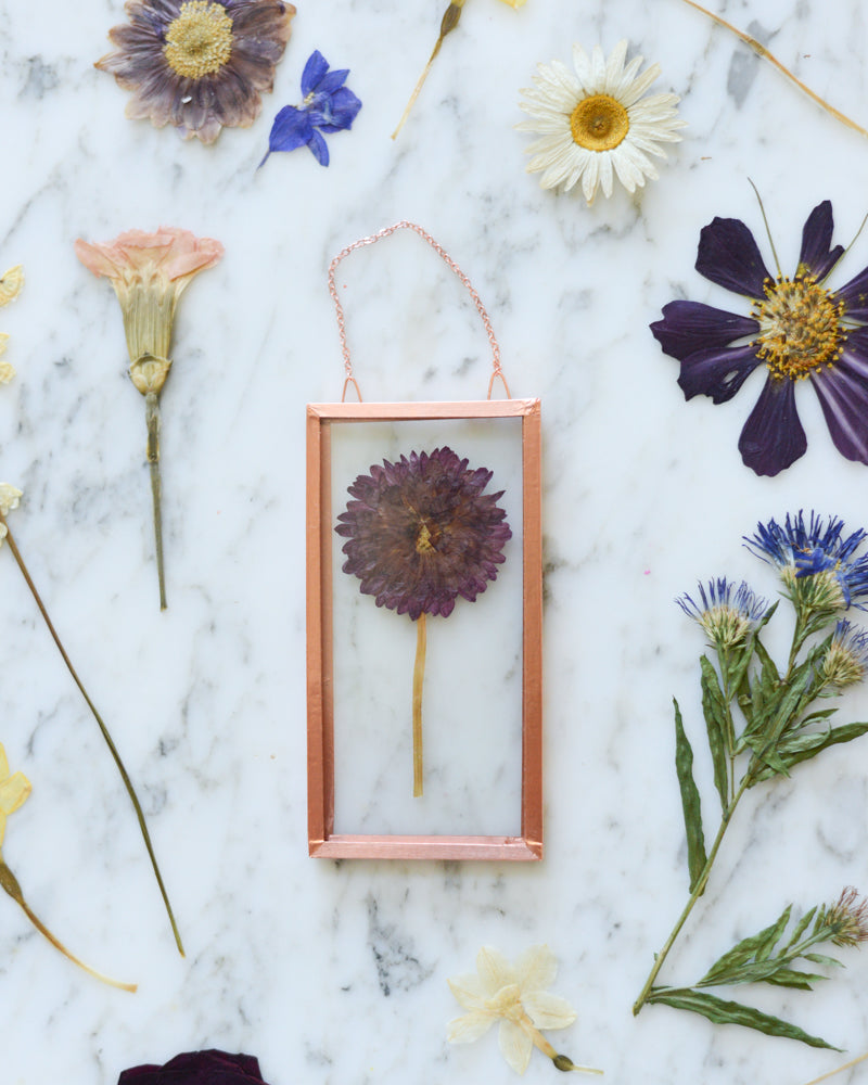 Birth Flowers - Real Pressed Flowers in Small Glass and Copper Wall Hanging