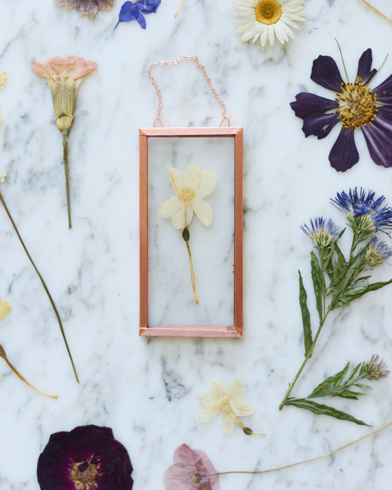 Birth Flowers - Real Pressed Flowers in Small Glass and Copper Wall Hanging