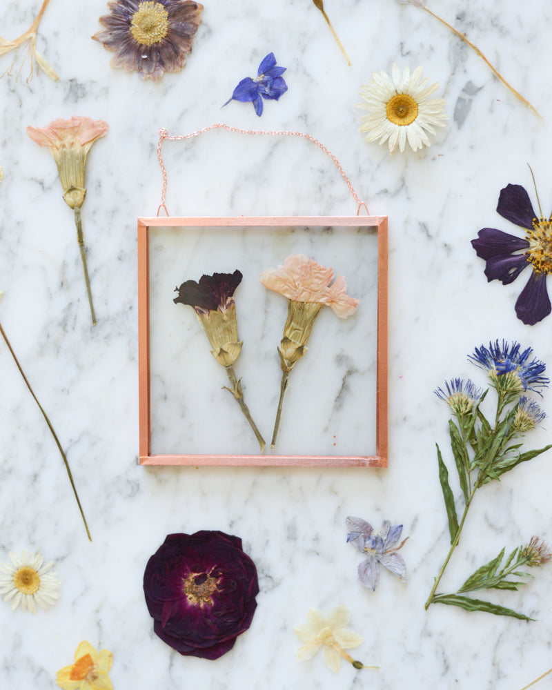 Birth Flowers - Real Pressed Flowers in Small Glass and Copper Wall Hanging