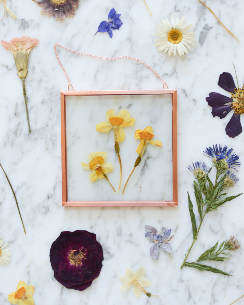 Birth Flowers - Real Pressed Flowers in Small Glass and Copper Wall Hanging