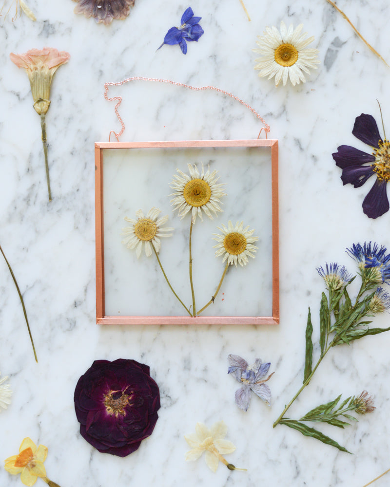 Birth Flowers - Real Pressed Flowers in Small Glass and Copper Wall Hanging