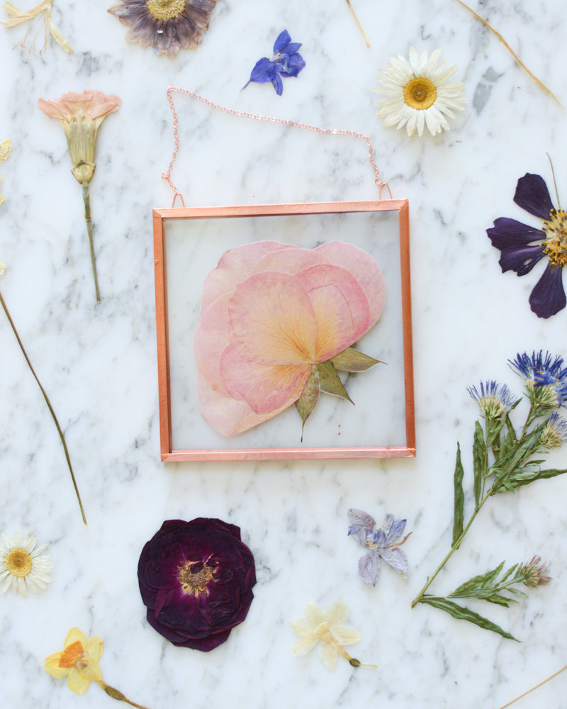 Birth Flowers - Real Pressed Flowers in Small Glass and Copper Wall Hanging