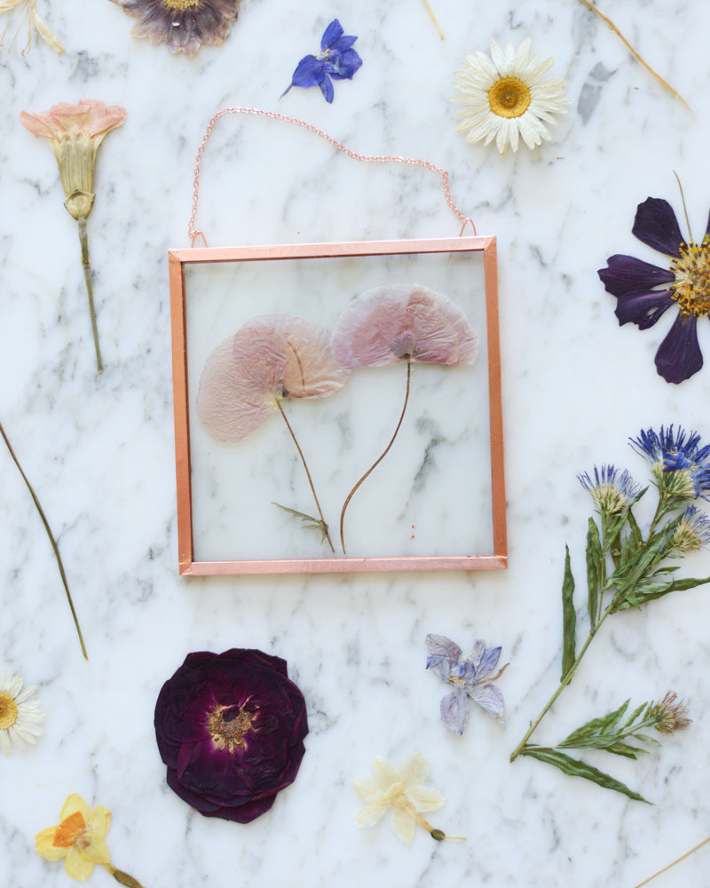 Birth Flowers - Real Pressed Flowers in Small Glass and Copper Wall Hanging