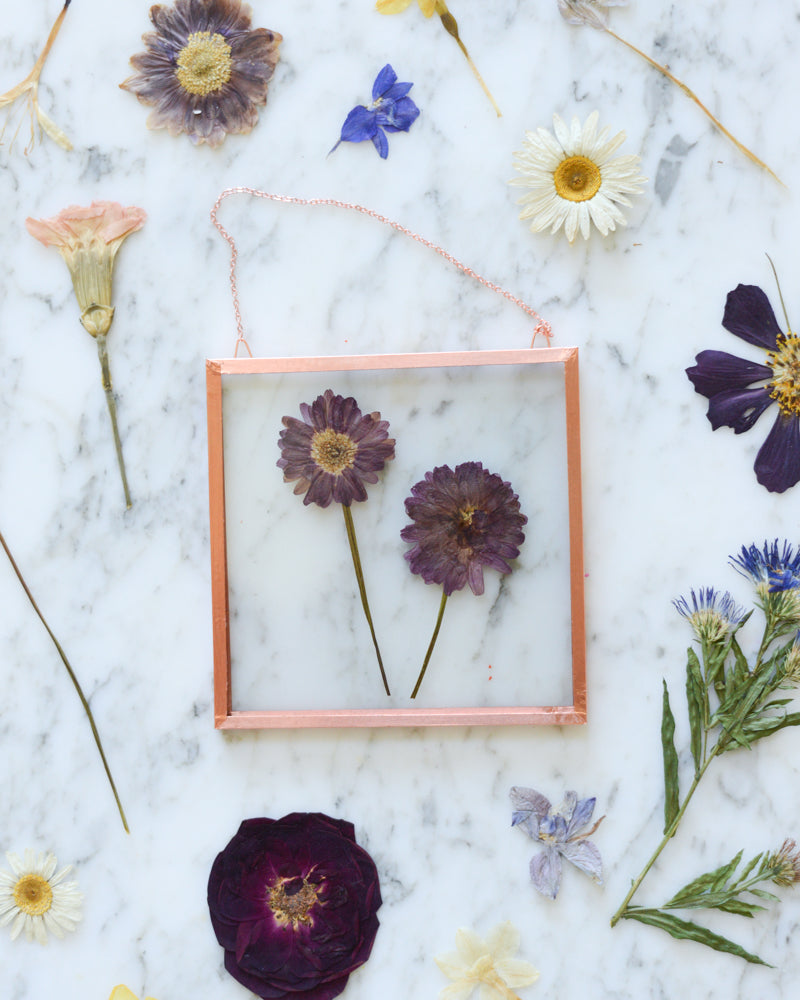 Birth Flowers - Real Pressed Flowers in Small Glass and Copper Wall Hanging