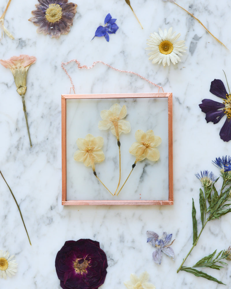 Birth Flowers - Real Pressed Flowers in Small Glass and Copper Wall Hanging