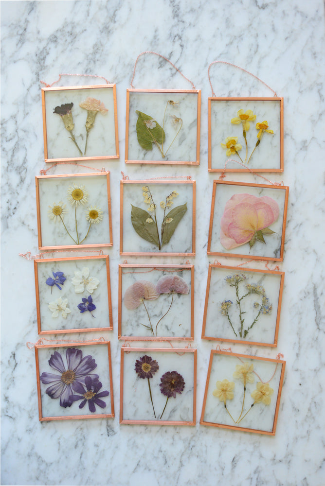 Birth Flowers - Real Pressed Flowers in Small Glass and Copper Wall Hanging