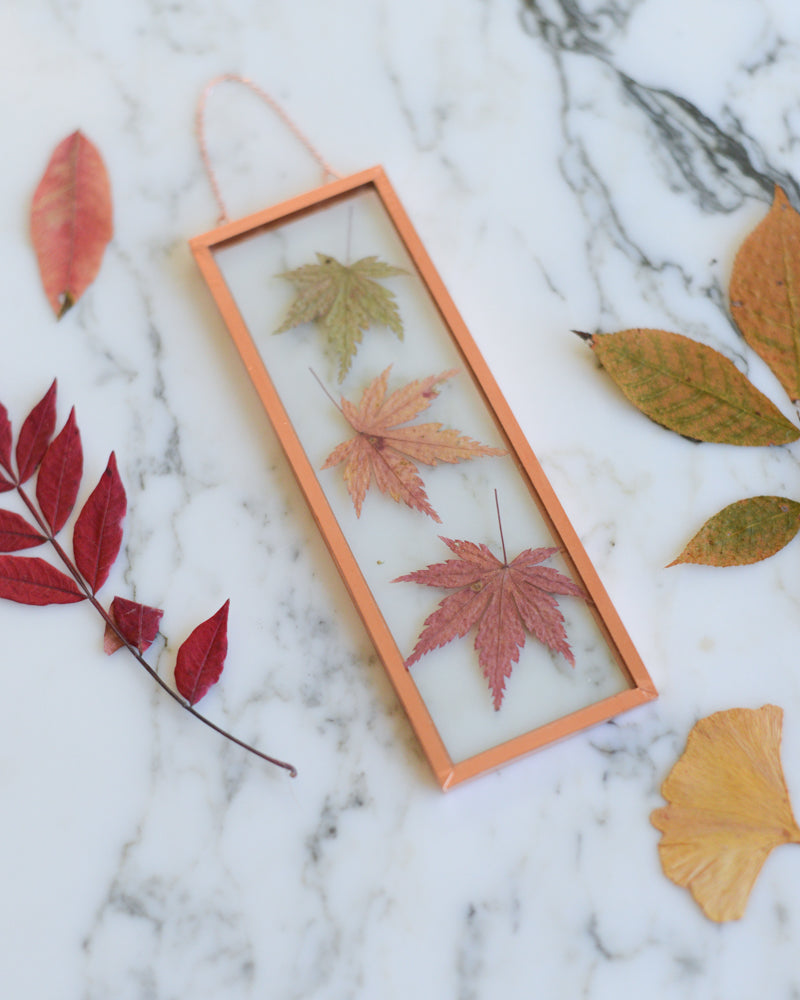Japanese Maple Leaves - Small Glass and Copper Wall Hanging