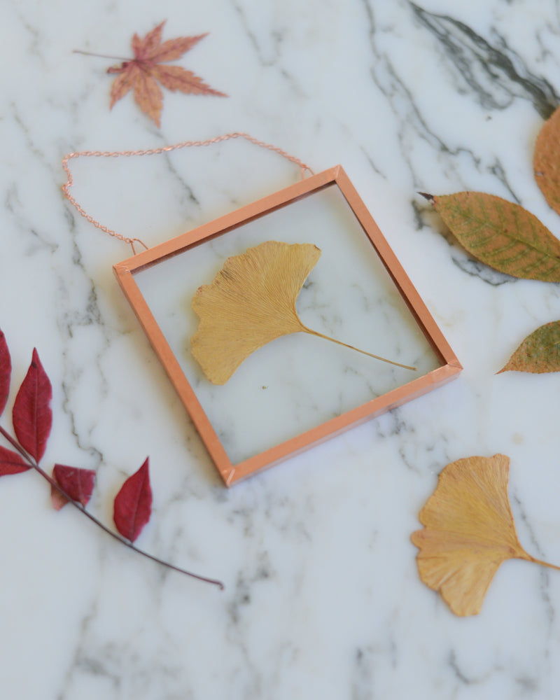 Golden Ginkgo - Glass and Copper Wall Hanging