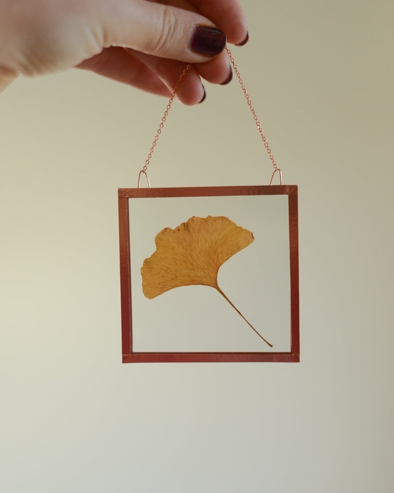 Golden Ginkgo - Glass and Copper Wall Hanging