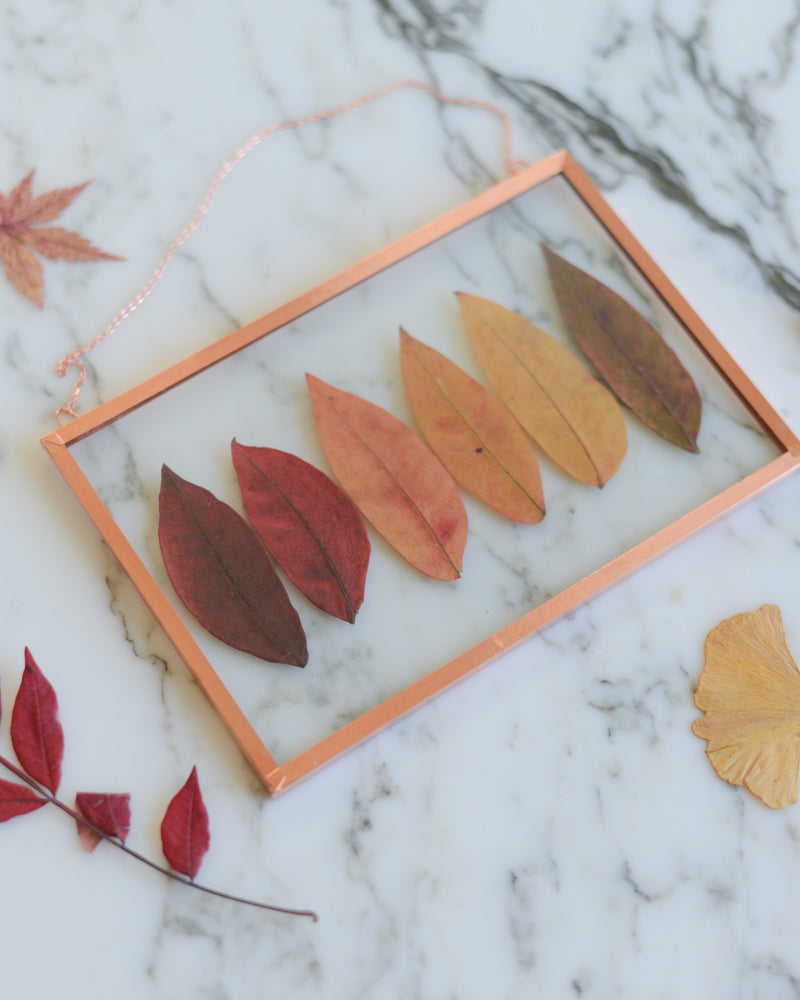 Sumac Ombre - Glass and Copper Wall Hanging