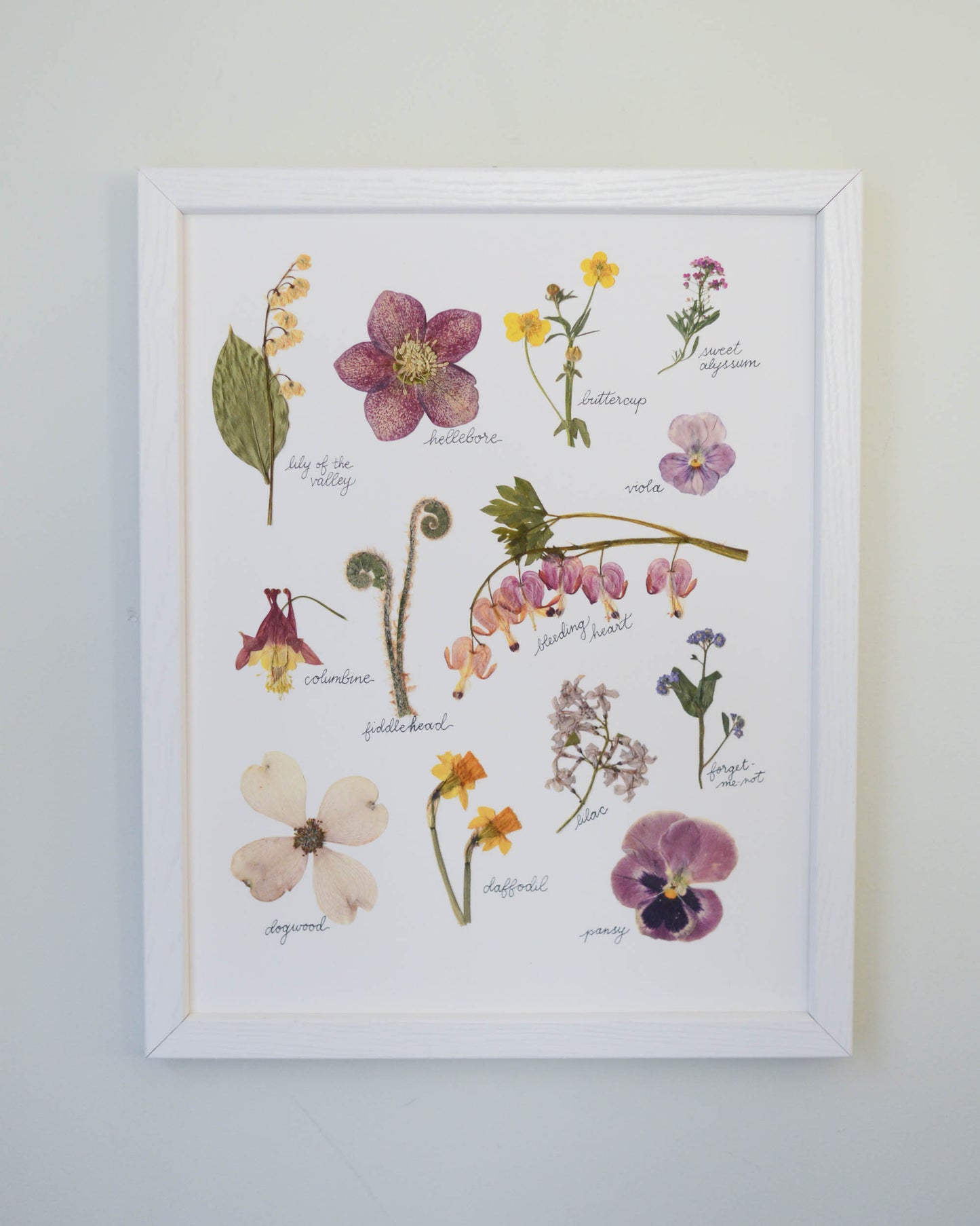 A Year in the Garden - Art Print of Pressed Flowers