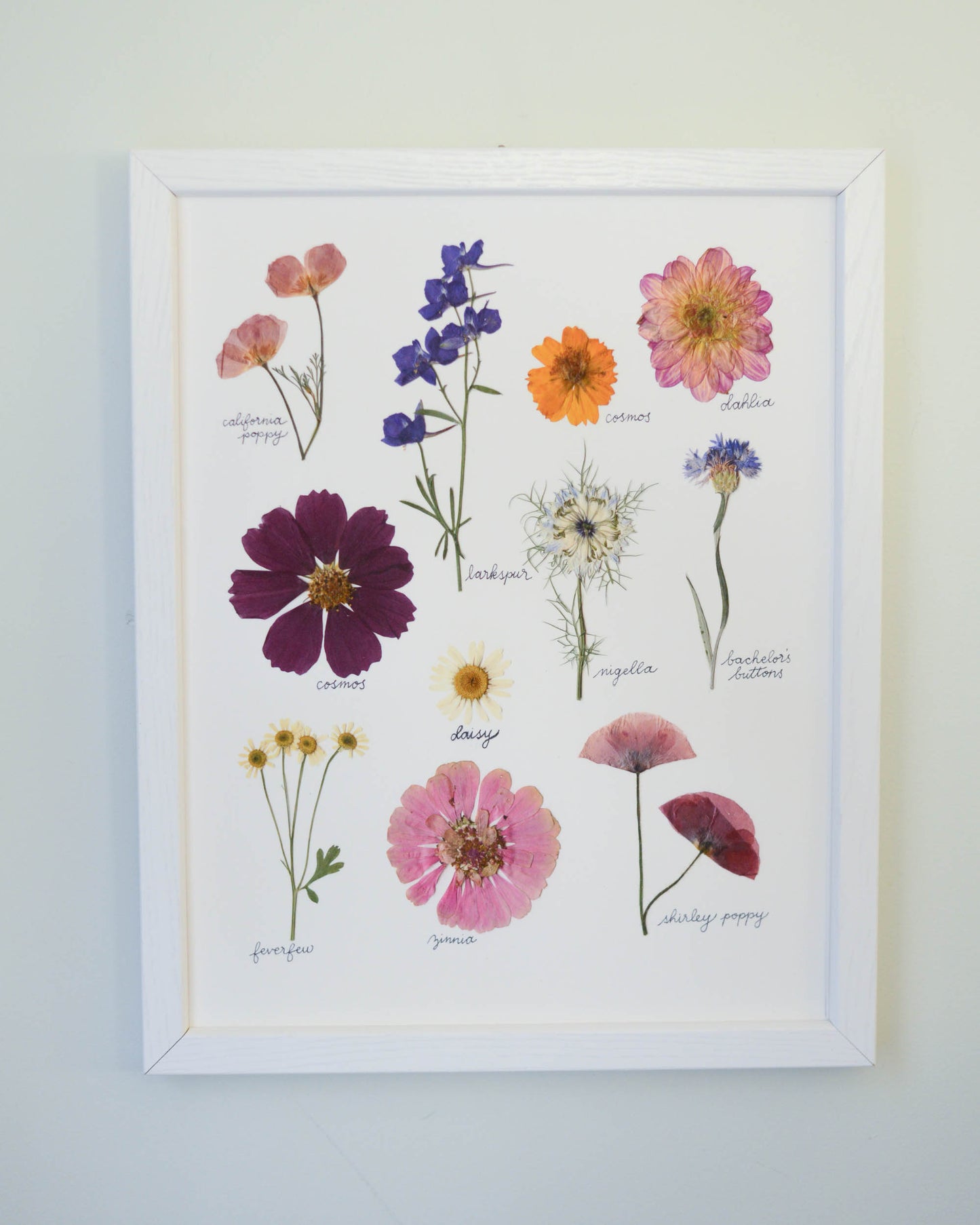 A Year in the Garden - Art Print of Pressed Flowers