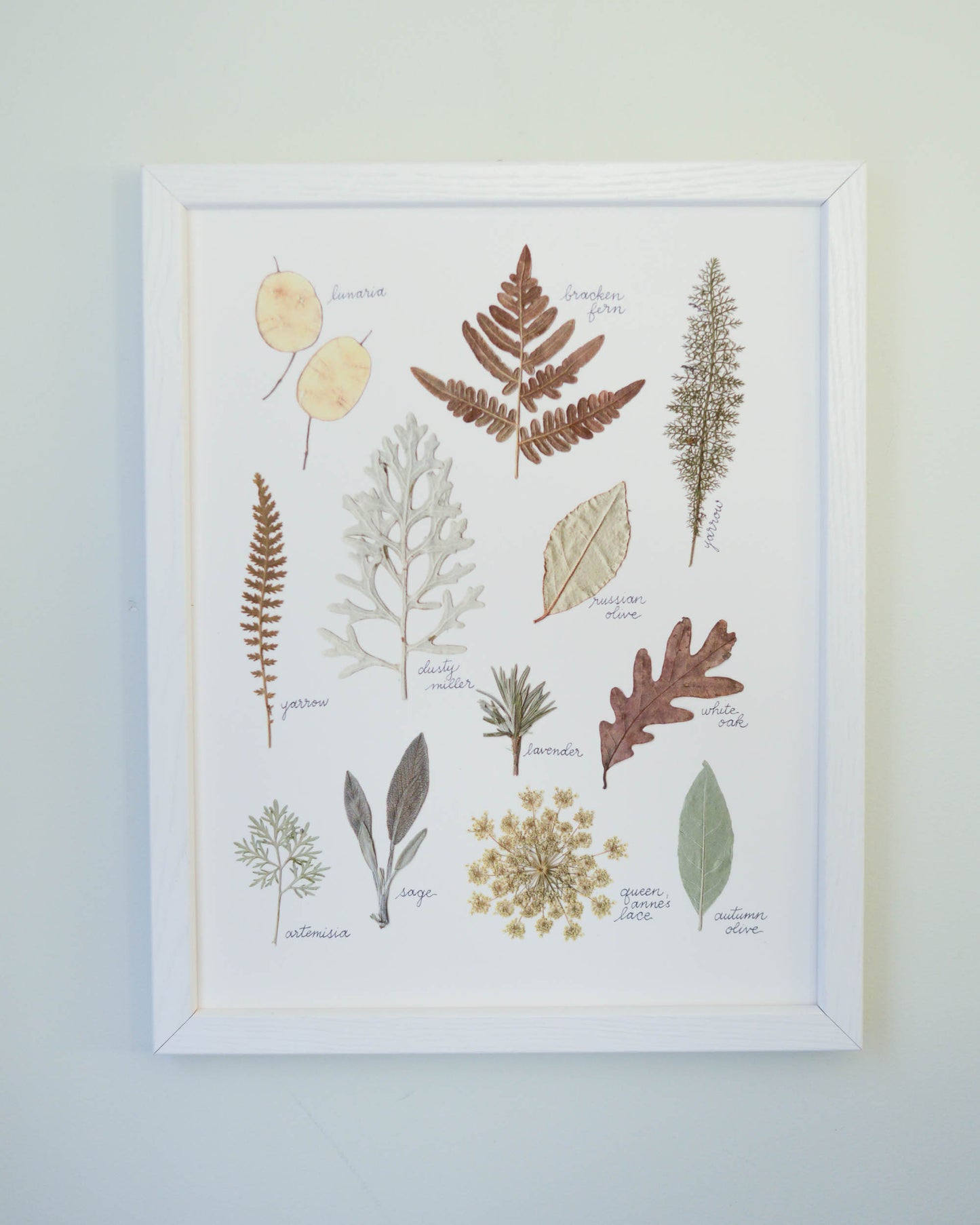 A Year in the Garden - Art Print of Pressed Flowers