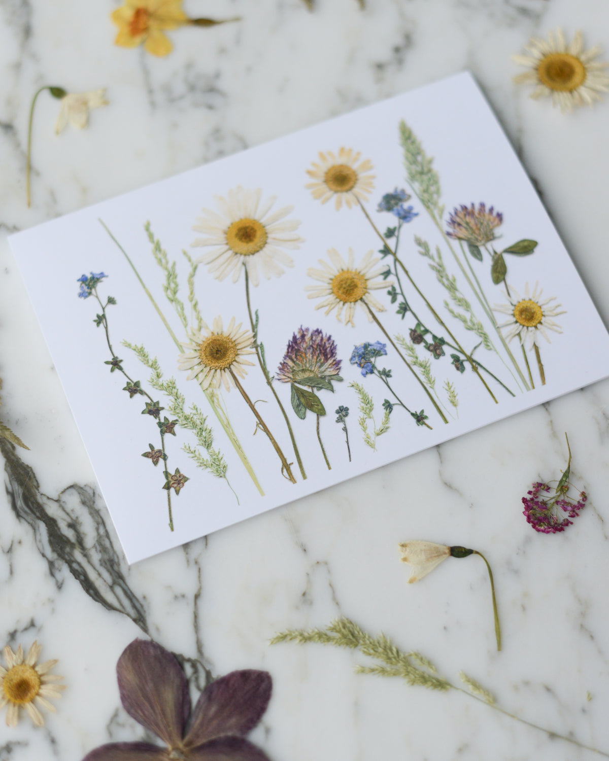 The Birth Flower Meadows Collection - Individual Blank Greeting Card