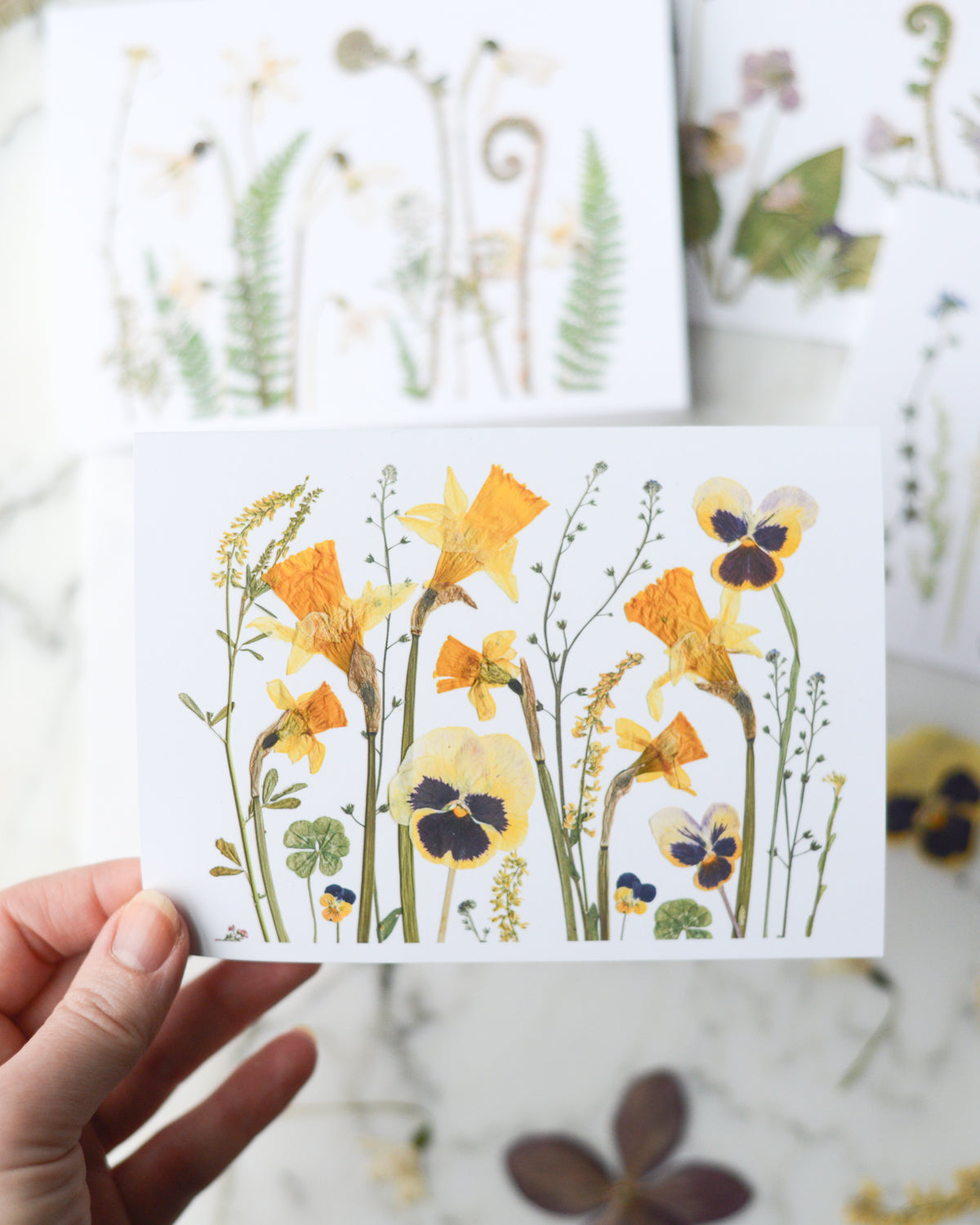 The Birth Flower Meadows Collection - Set of Blank Greeting Cards