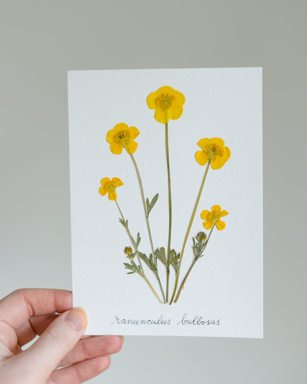 Unframed Botanicals 5x7" - Spring Equinox Collection