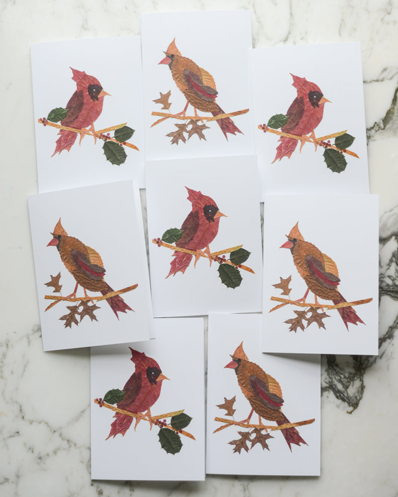 Snow Birds, Set of Blank Holiday Greeting Cards 2026
