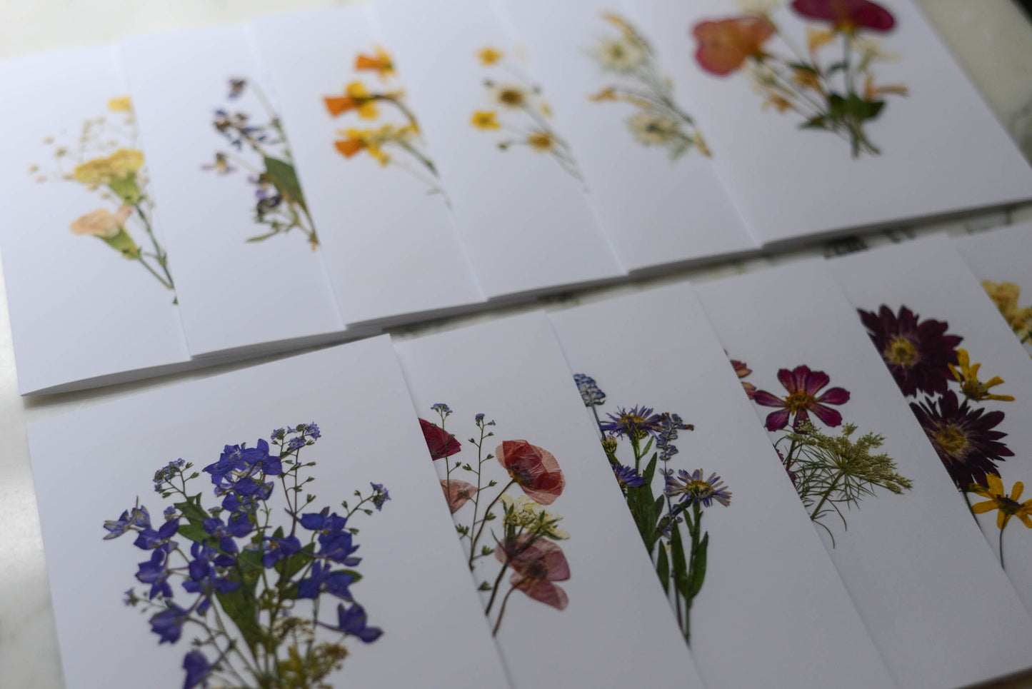 The Bouquet Collection - Individual Blank Greeting Cards