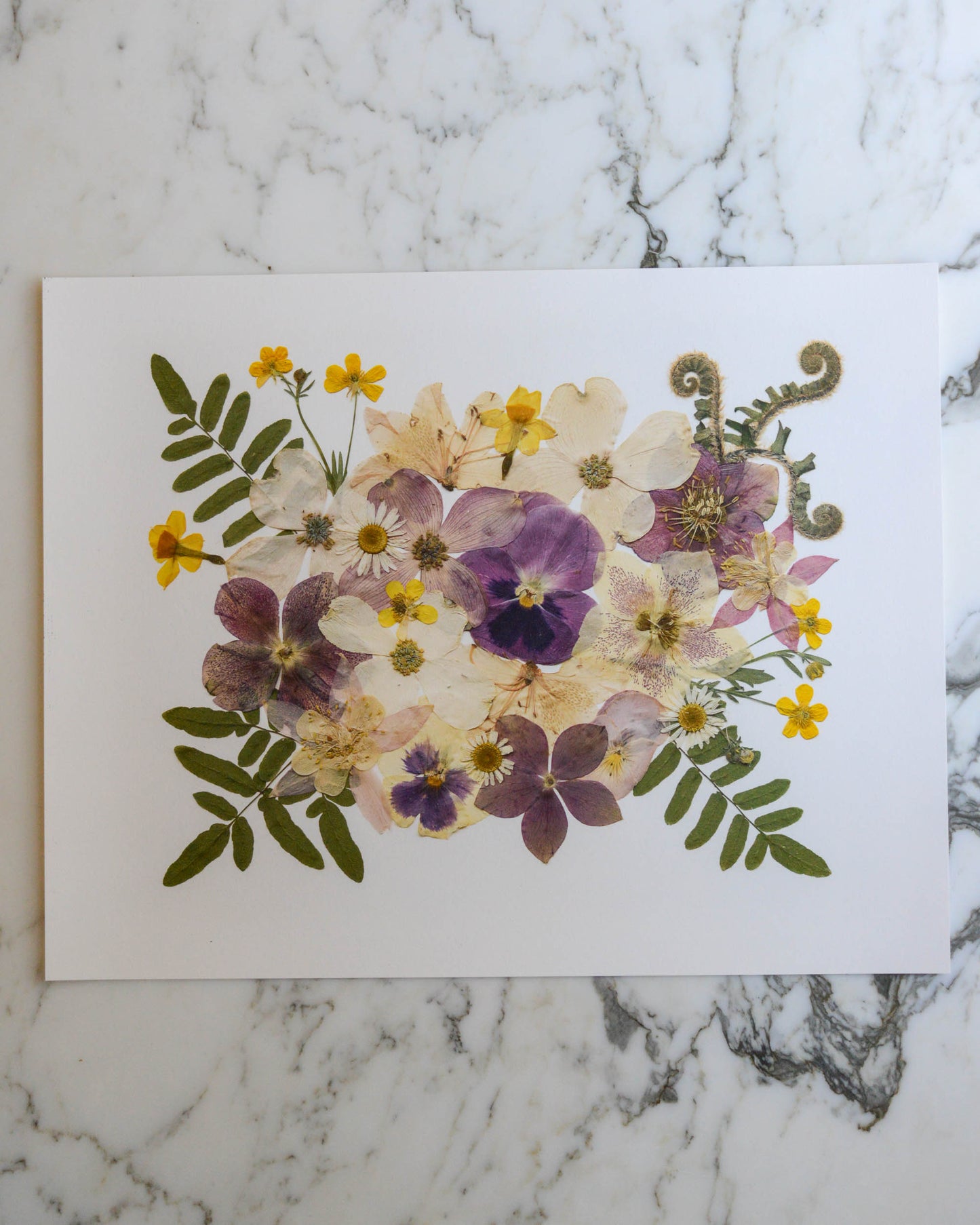 Four Seasons Bouquets - Art Print of Pressed Flowers