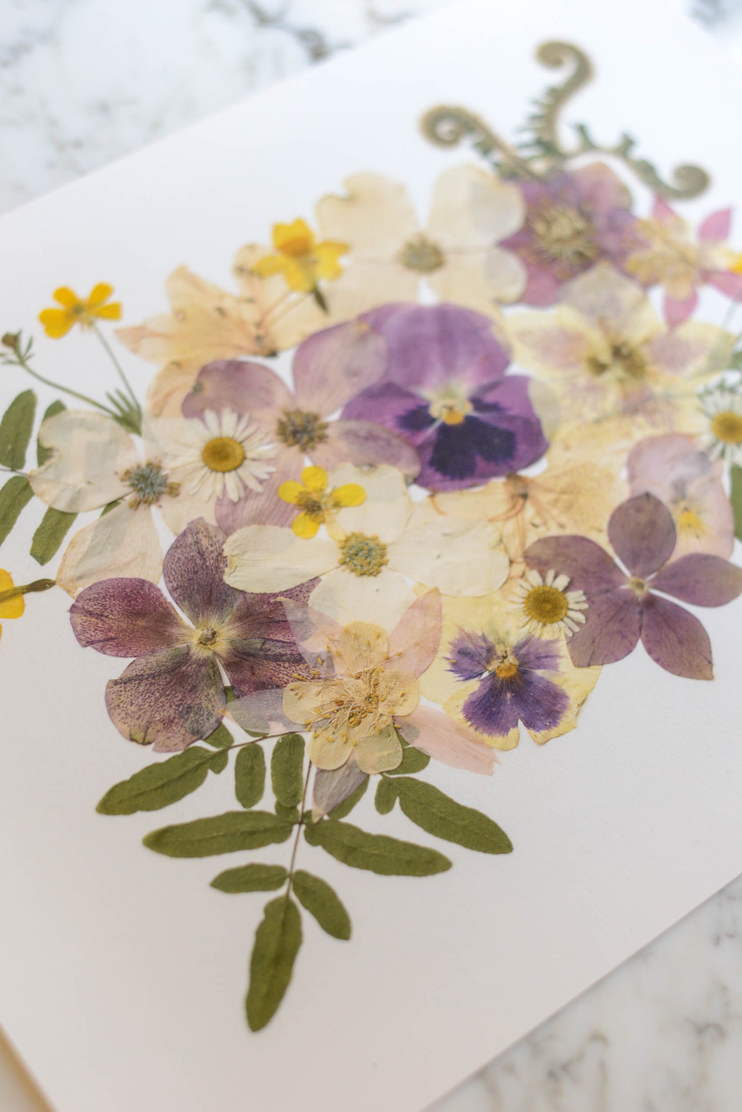 Four Seasons Bouquets - Art Print of Pressed Flowers