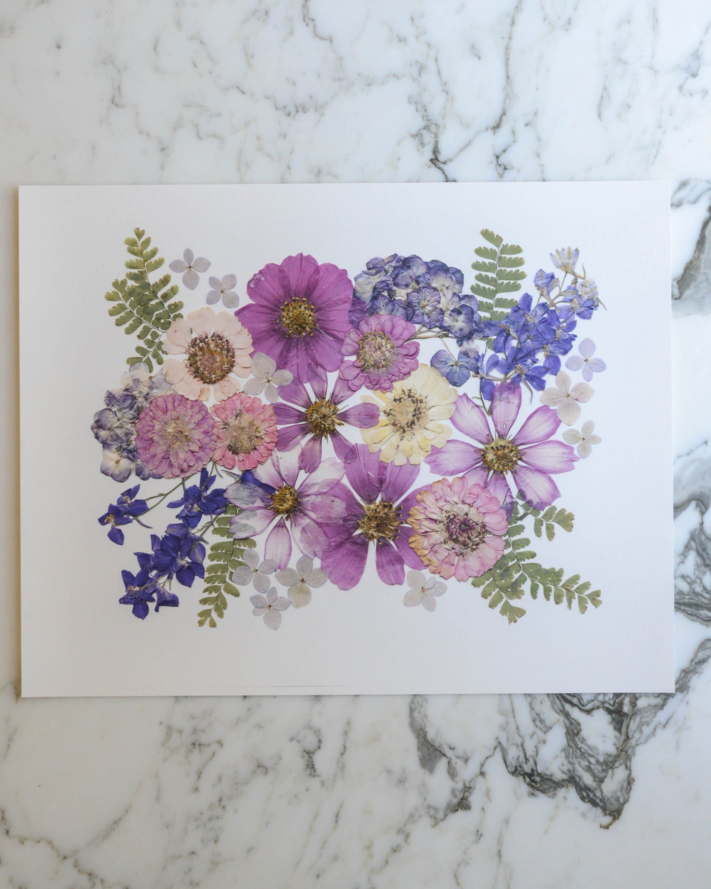 Four Seasons Bouquets - Art Print of Pressed Flowers
