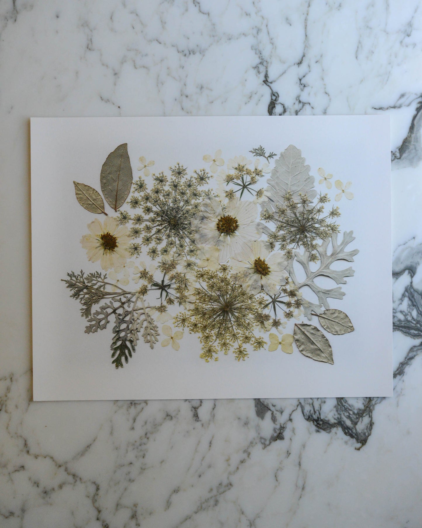 Four Seasons Bouquets - Art Print of Pressed Flowers