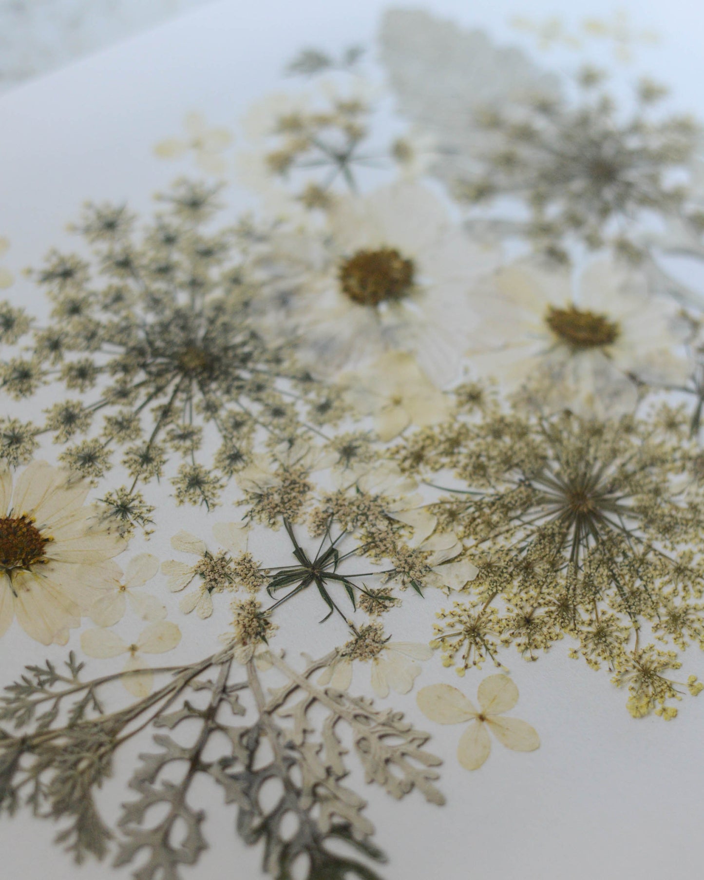 Four Seasons Bouquets - Art Print of Pressed Flowers