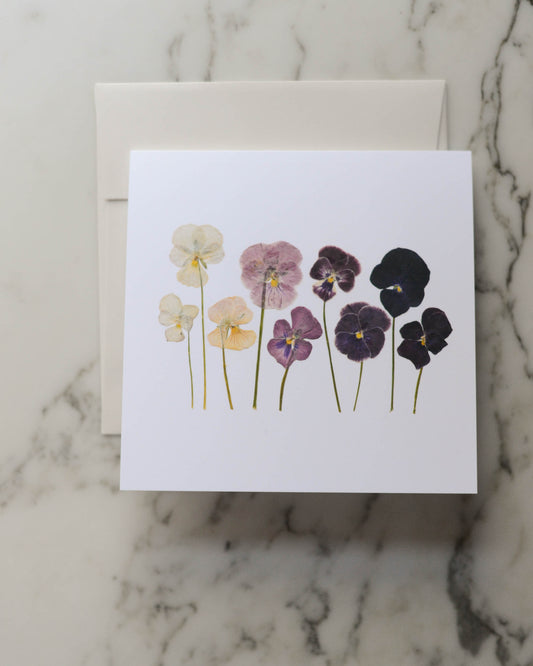 Violas, Individual Blank Greeting Card