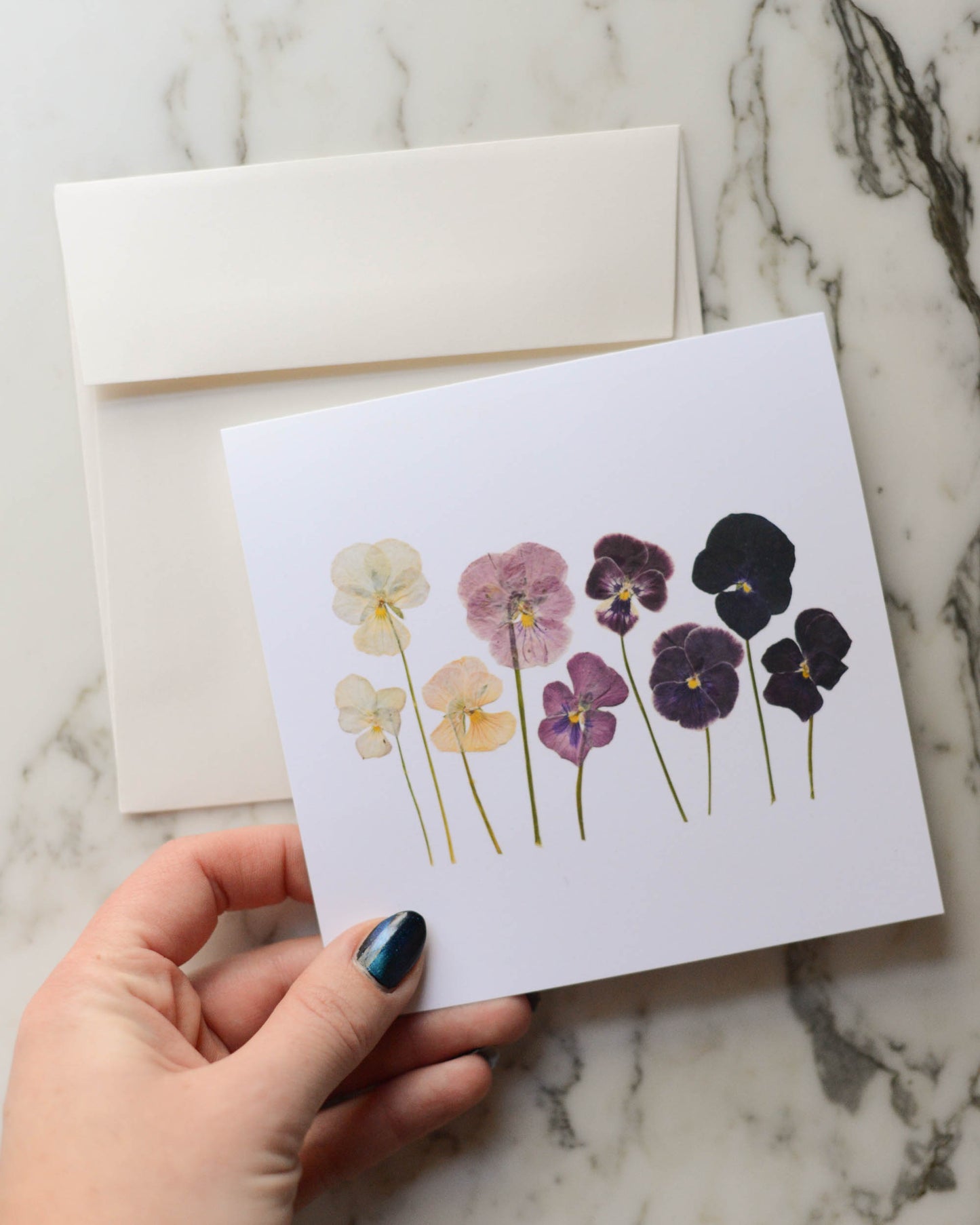 Violas - Blank Greeting Cards, set of 3+ with envelopes