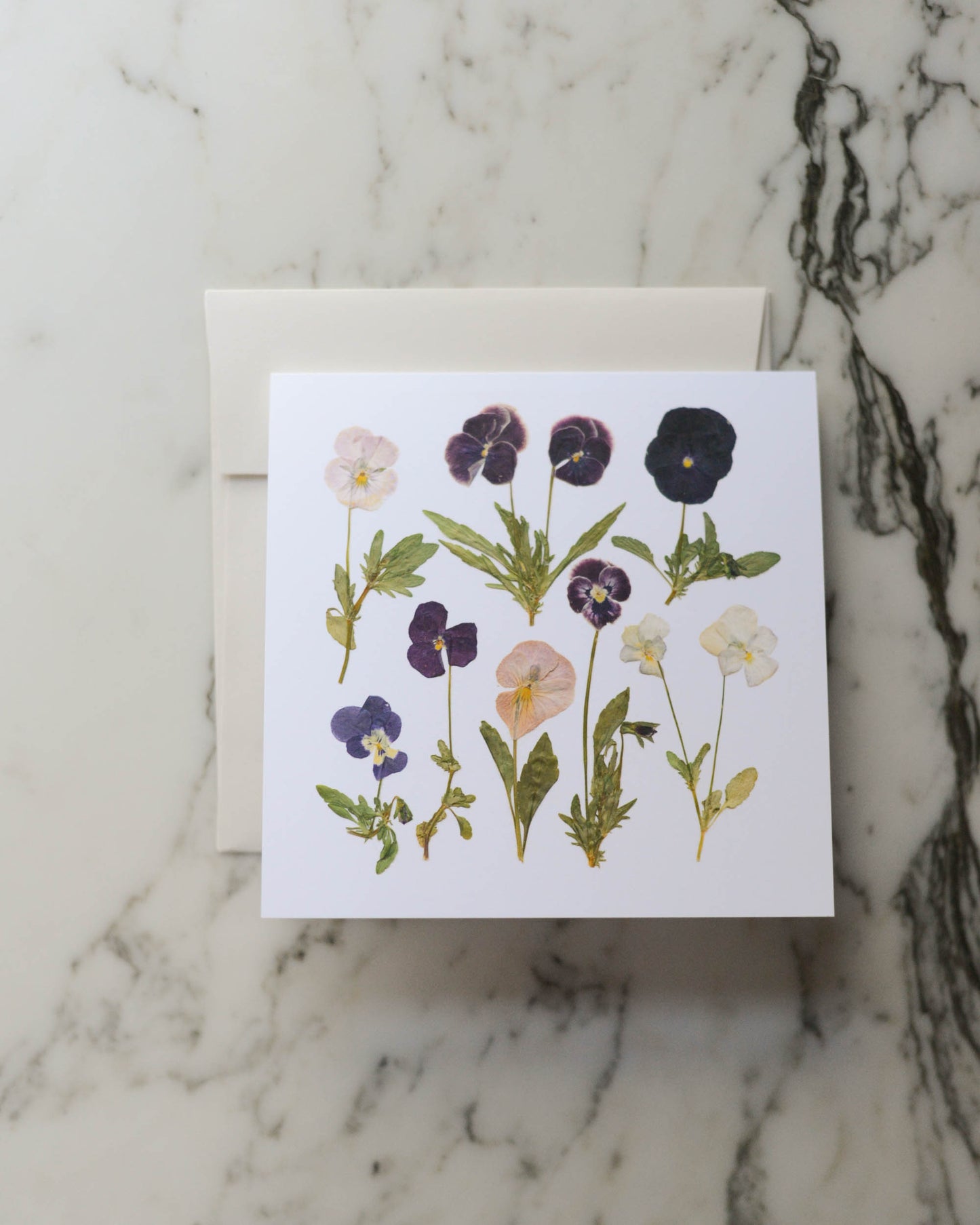 Violas - Blank Greeting Cards, set of 3+ with envelopes