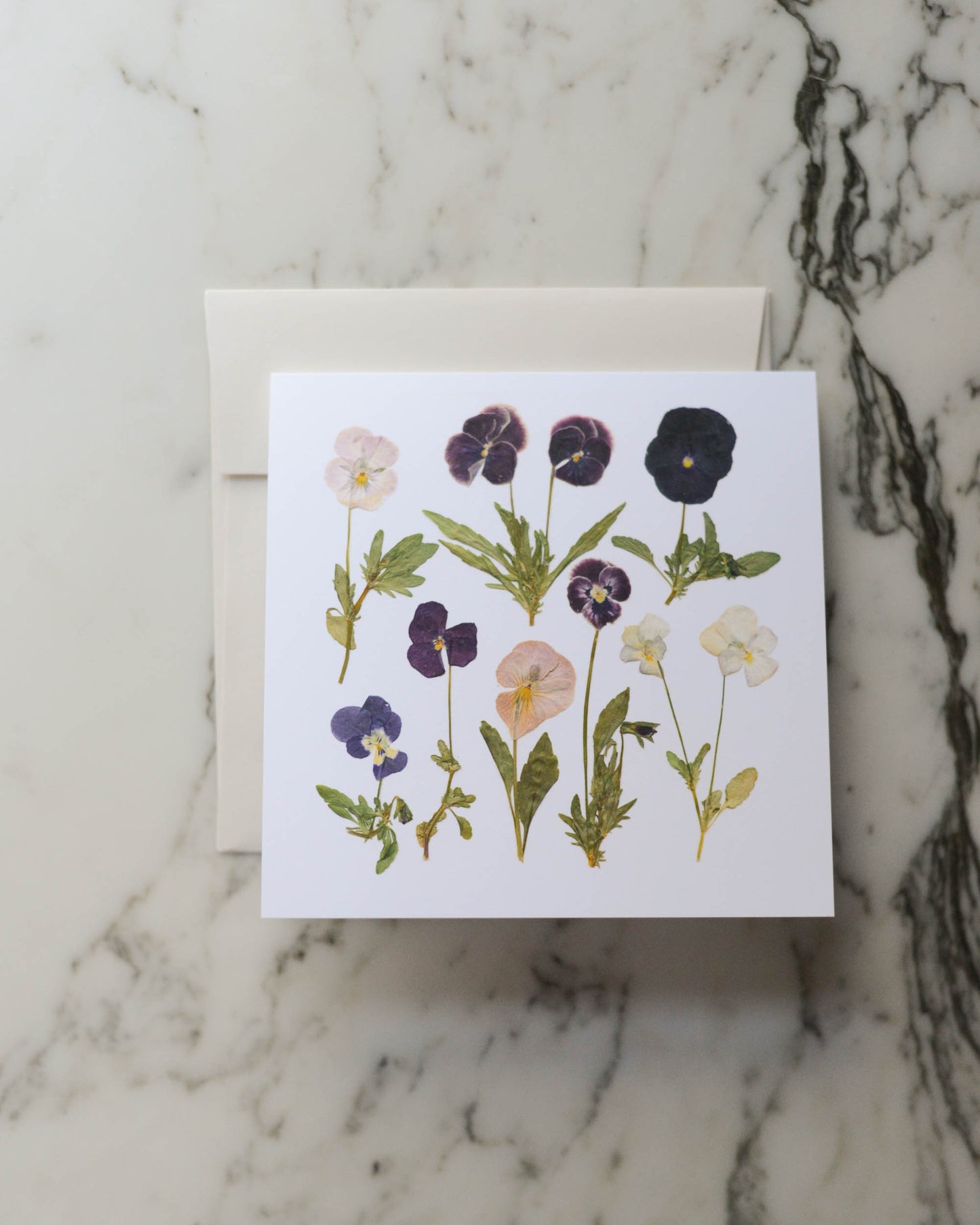 Violas, Individual Blank Greeting Card