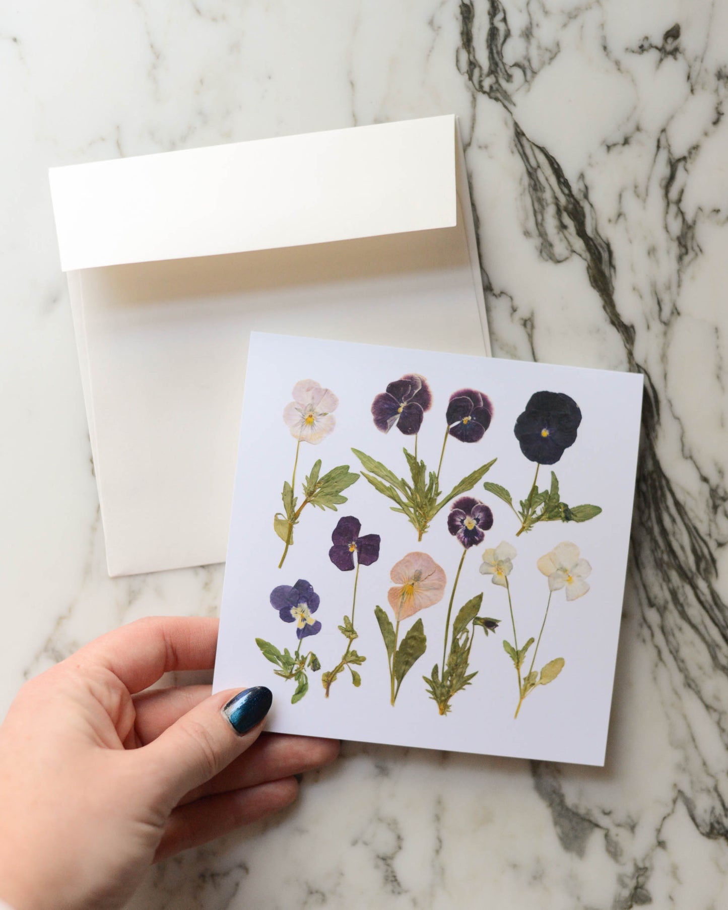 Violas, Individual Blank Greeting Card