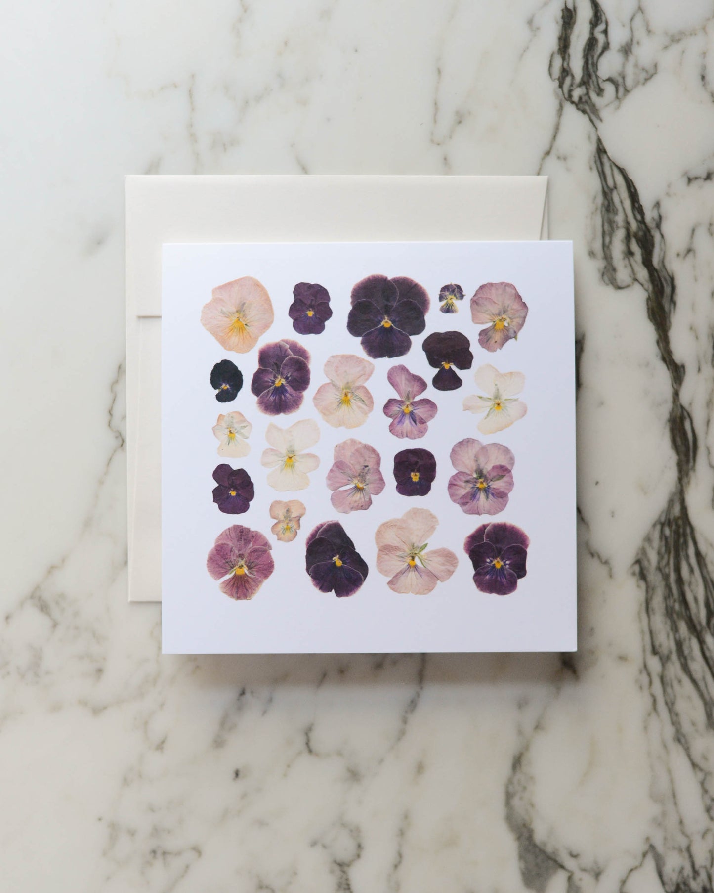 Violas, Individual Blank Greeting Card