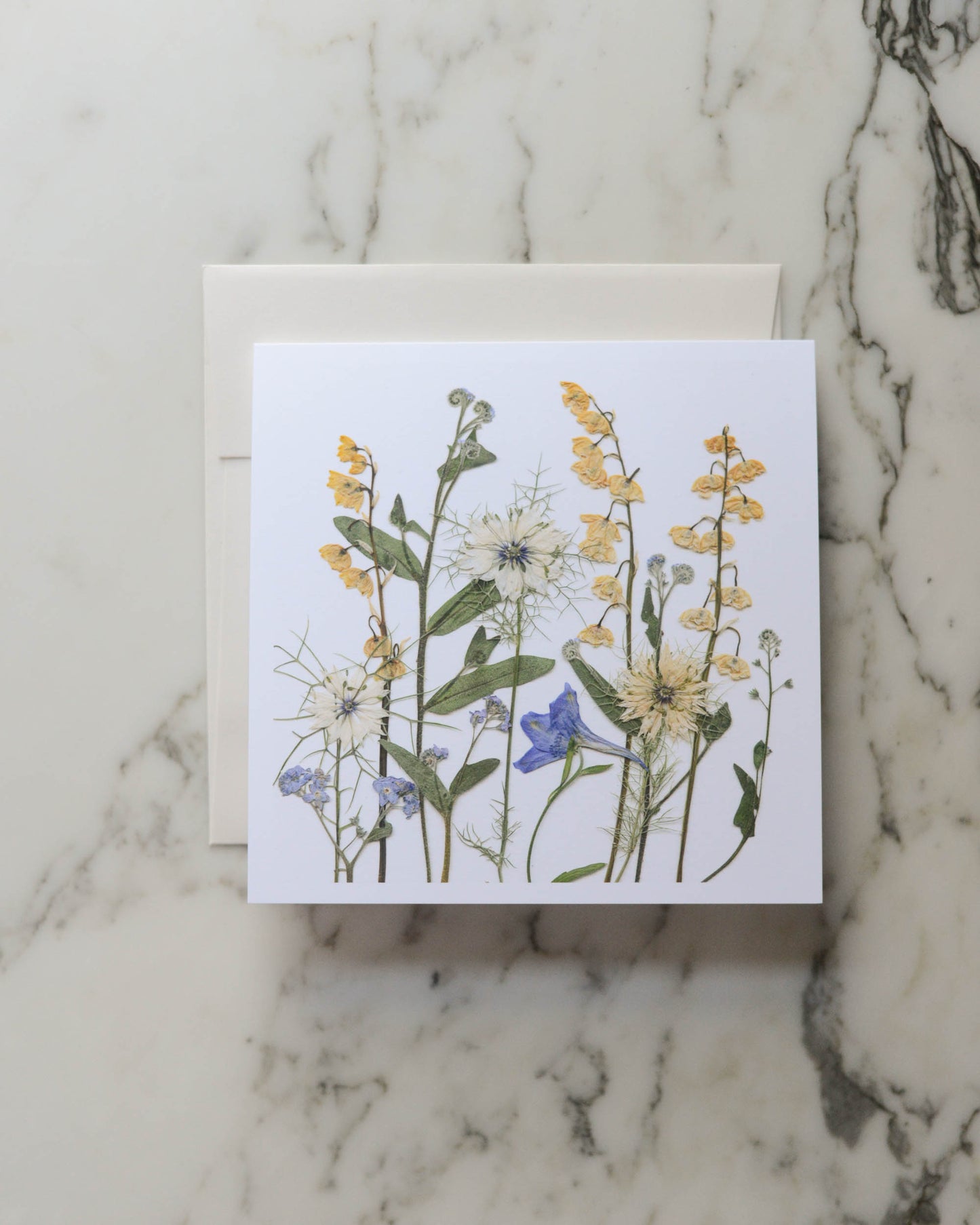 Wild Meadows - Blank Greeting Cards, set of 3+ with envelopes