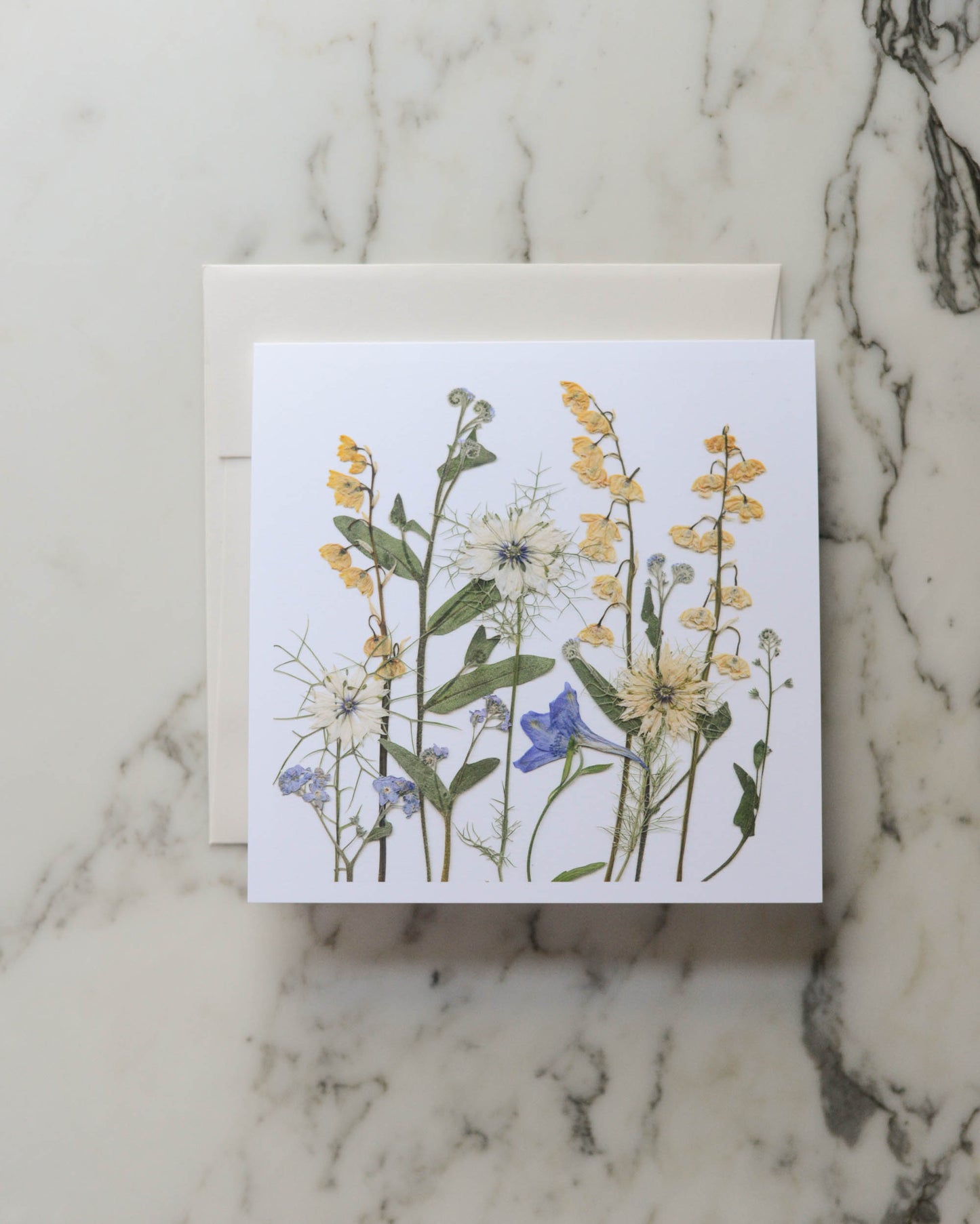 Wild Meadow, Individual Blank Greeting Card