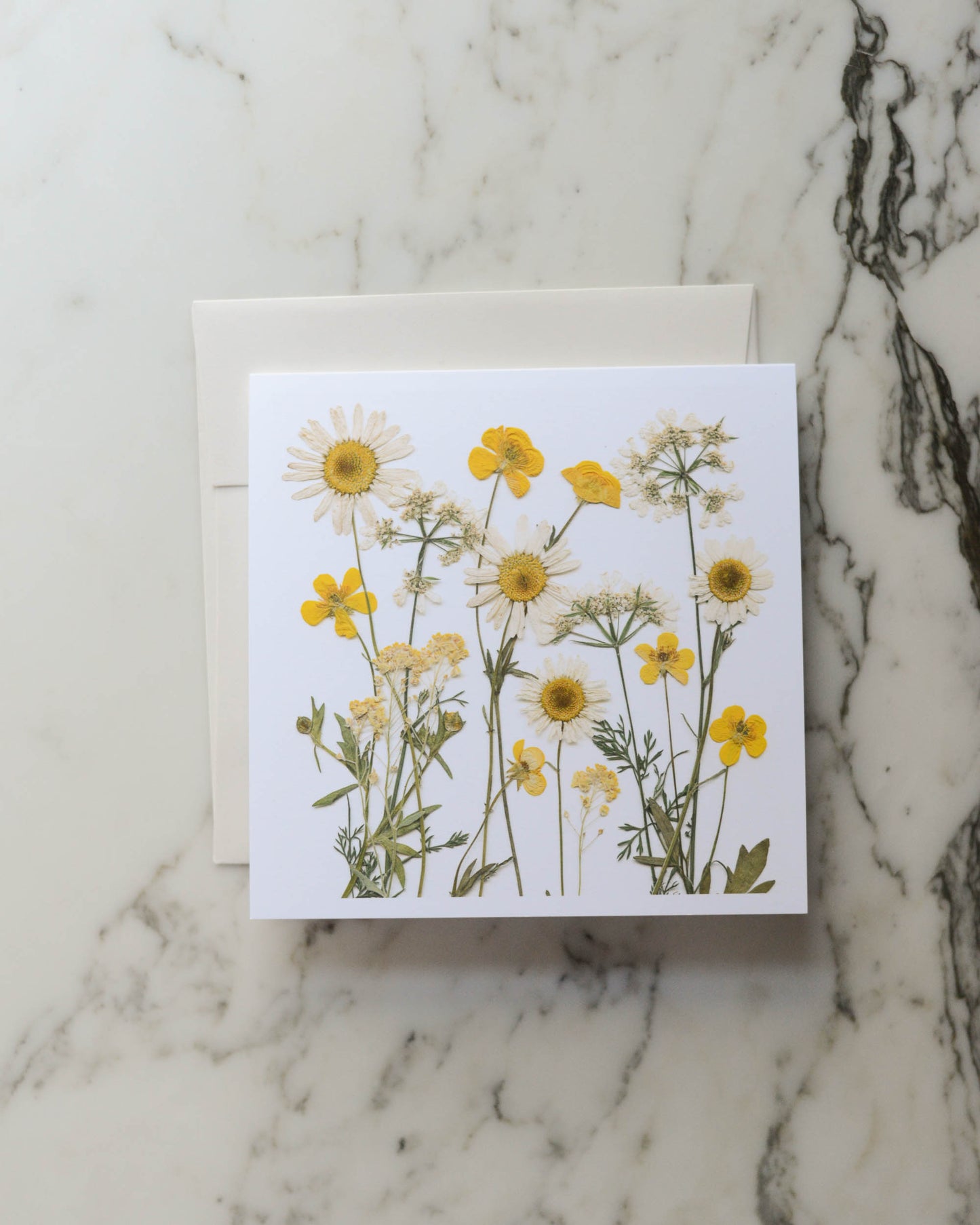 Wild Meadows - Blank Greeting Cards, set of 3+ with envelopes