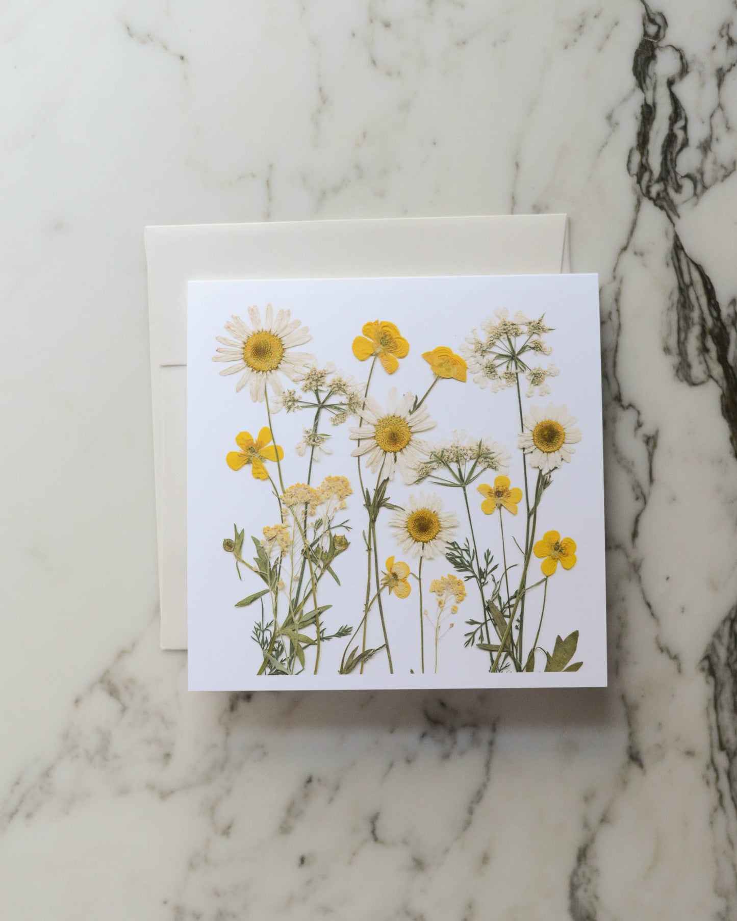 Wild Meadow, Individual Blank Greeting Card