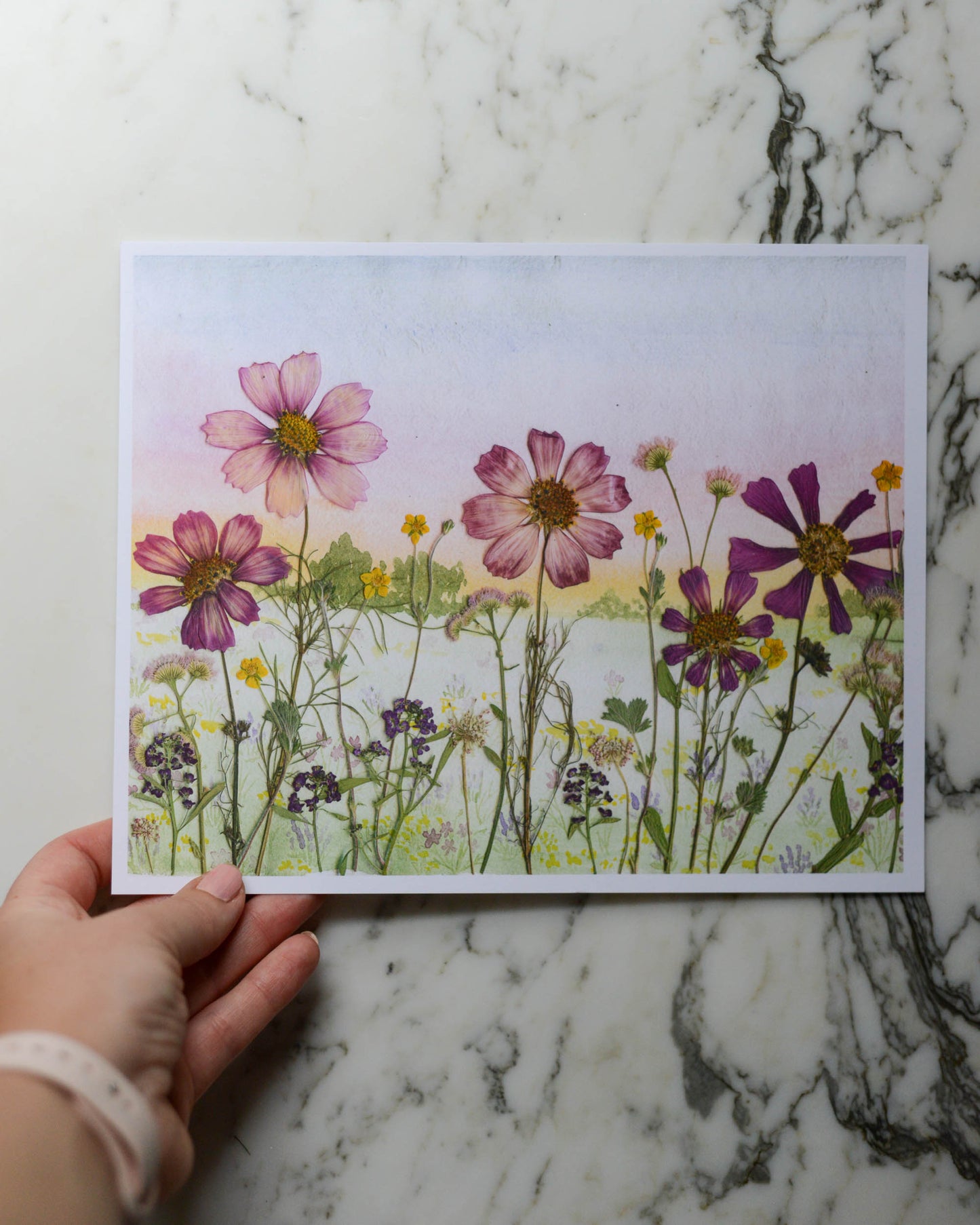 Cosmos Sunset - Watercolor Flowerscape Print artwork