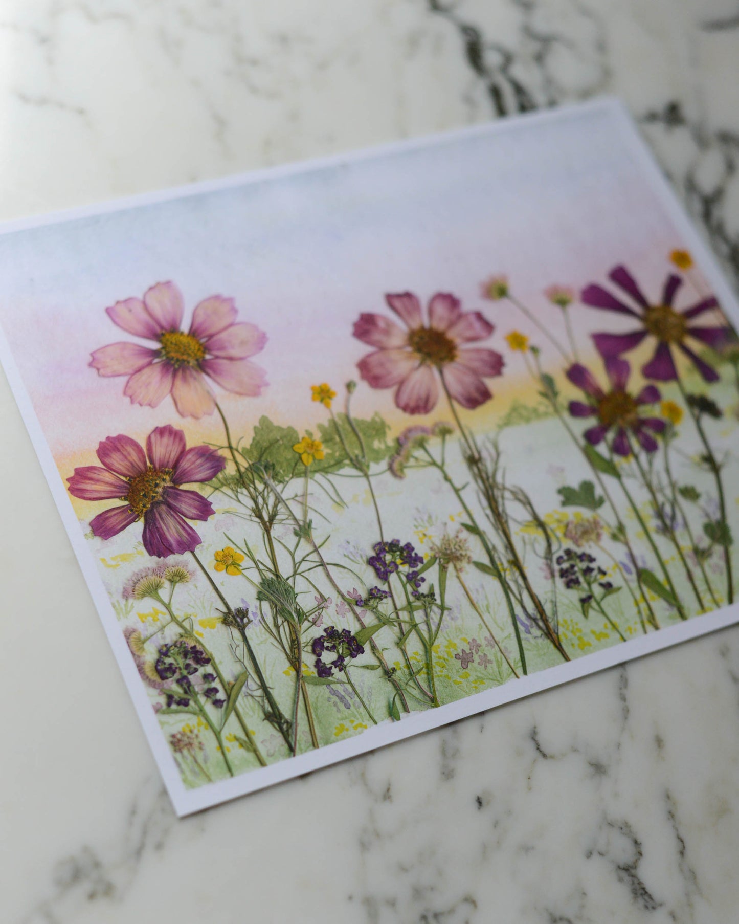 Cosmos Sunset - Watercolor Flowerscape Print artwork