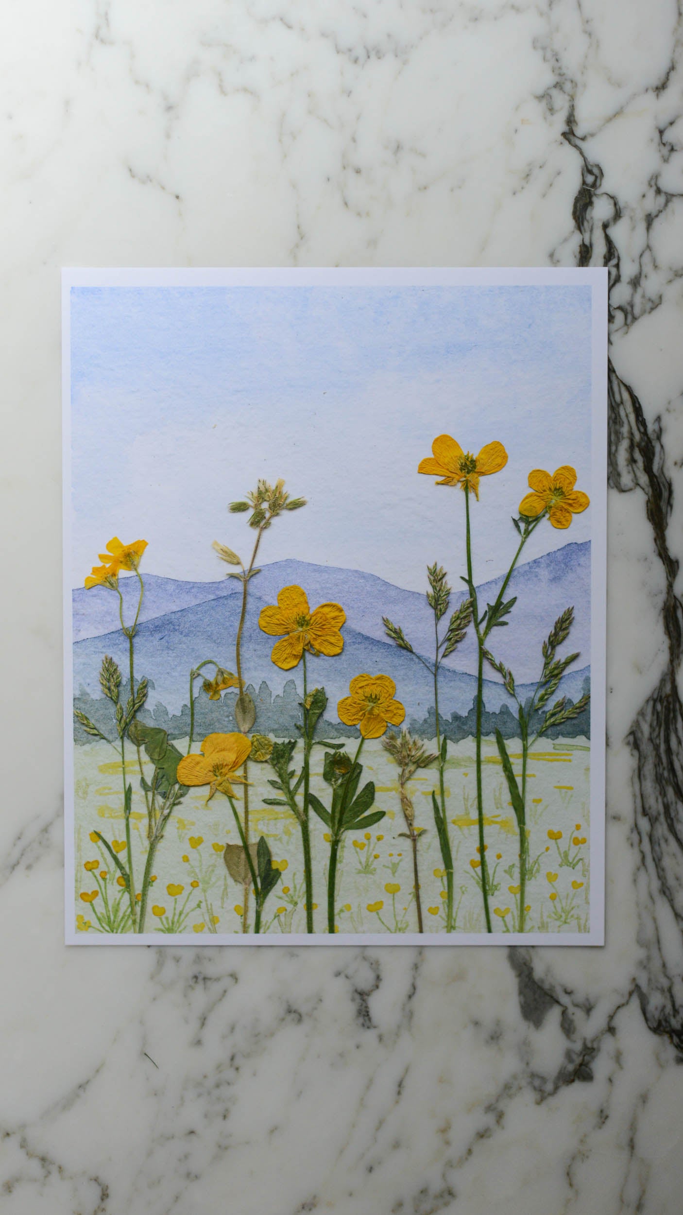 Blue Ridge Buttercups - Watercolor Flowerscape Print artwork