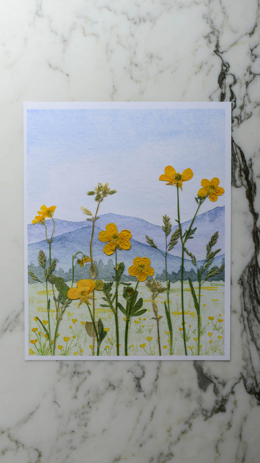 Blue Ridge Buttercups - Watercolor Flowerscape Print artwork