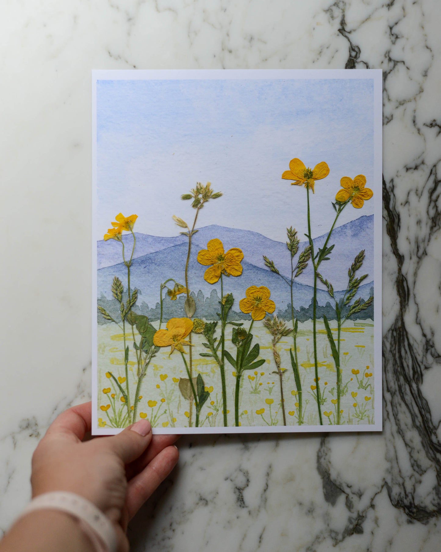 Blue Ridge Buttercups - Watercolor Flowerscape Print artwork